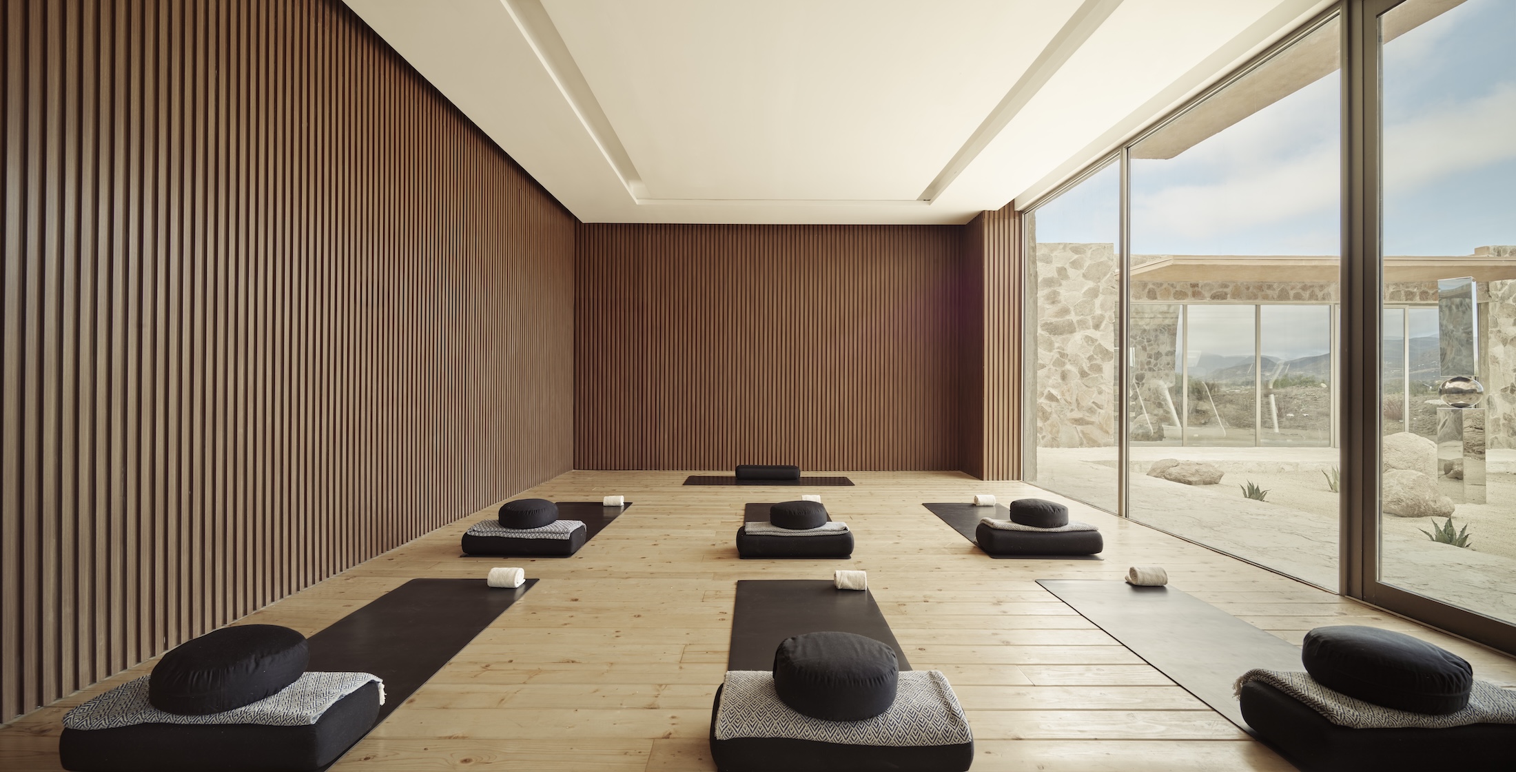 Banyan Tree Veya Valle de Guadalupe